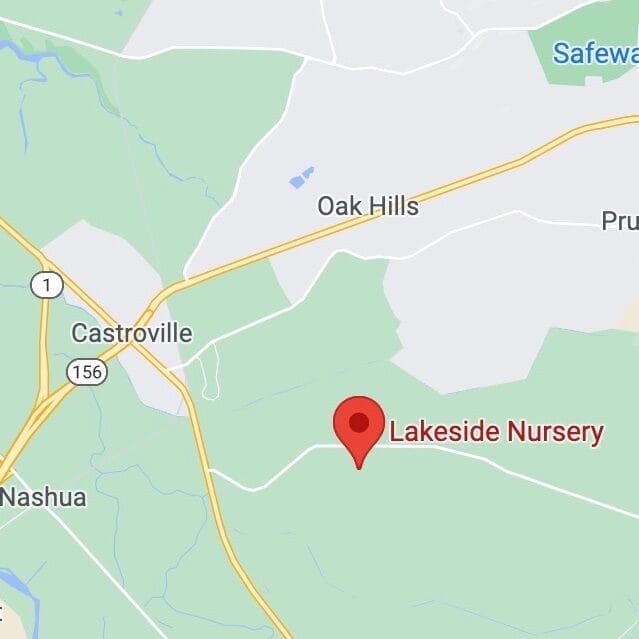 Salinas location map
