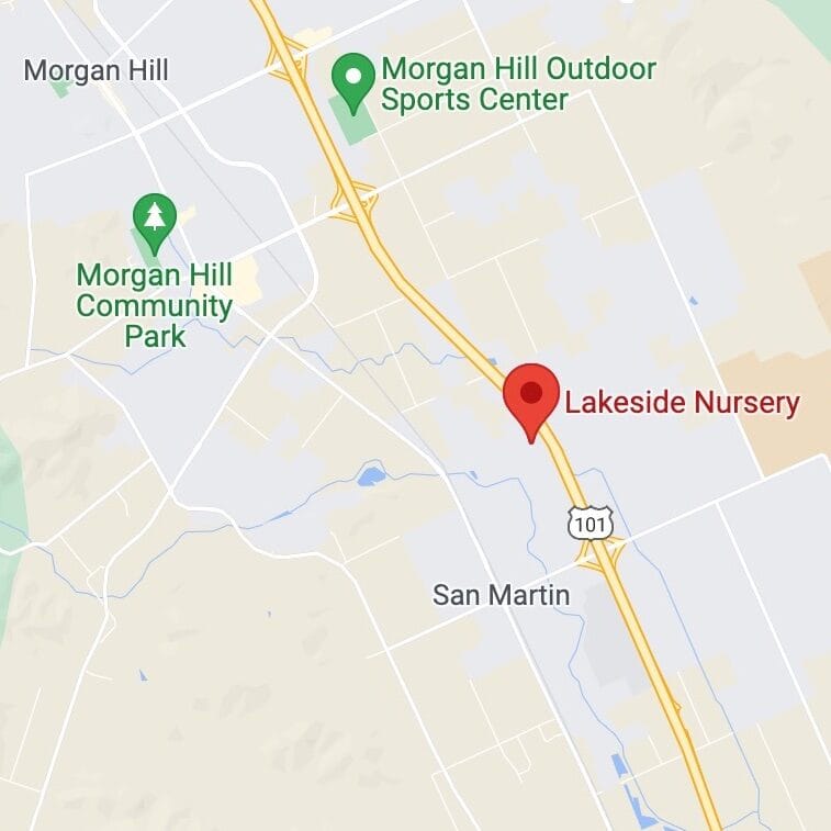 San Martin location map