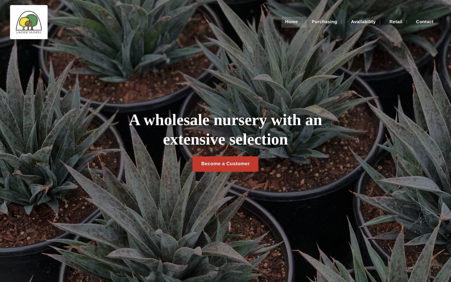 Homepage of Lakeside Nursery, a retail shop website in California built by LocalForge