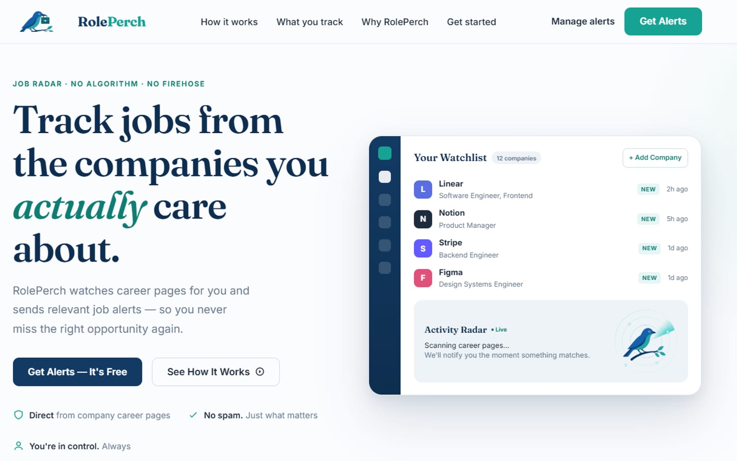 Homepage of RolePerch, a professional services website built by LocalForge